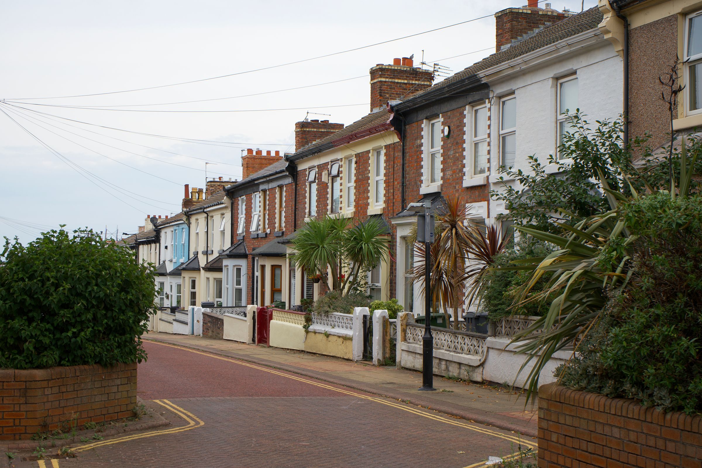 A tree-lined suburban street of semi-detached houses