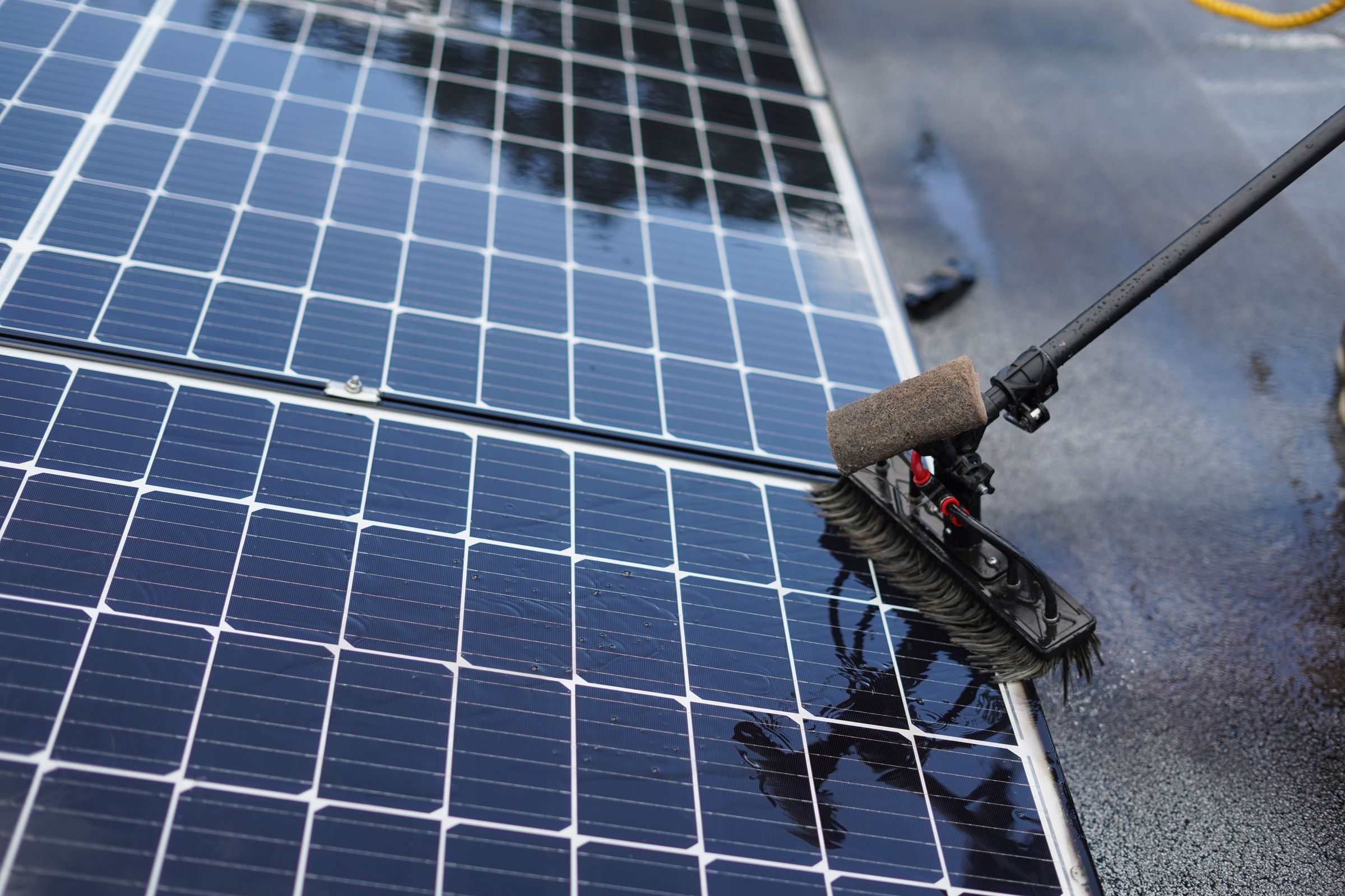 A brush on a water-fed pole cleaning wet solar panels